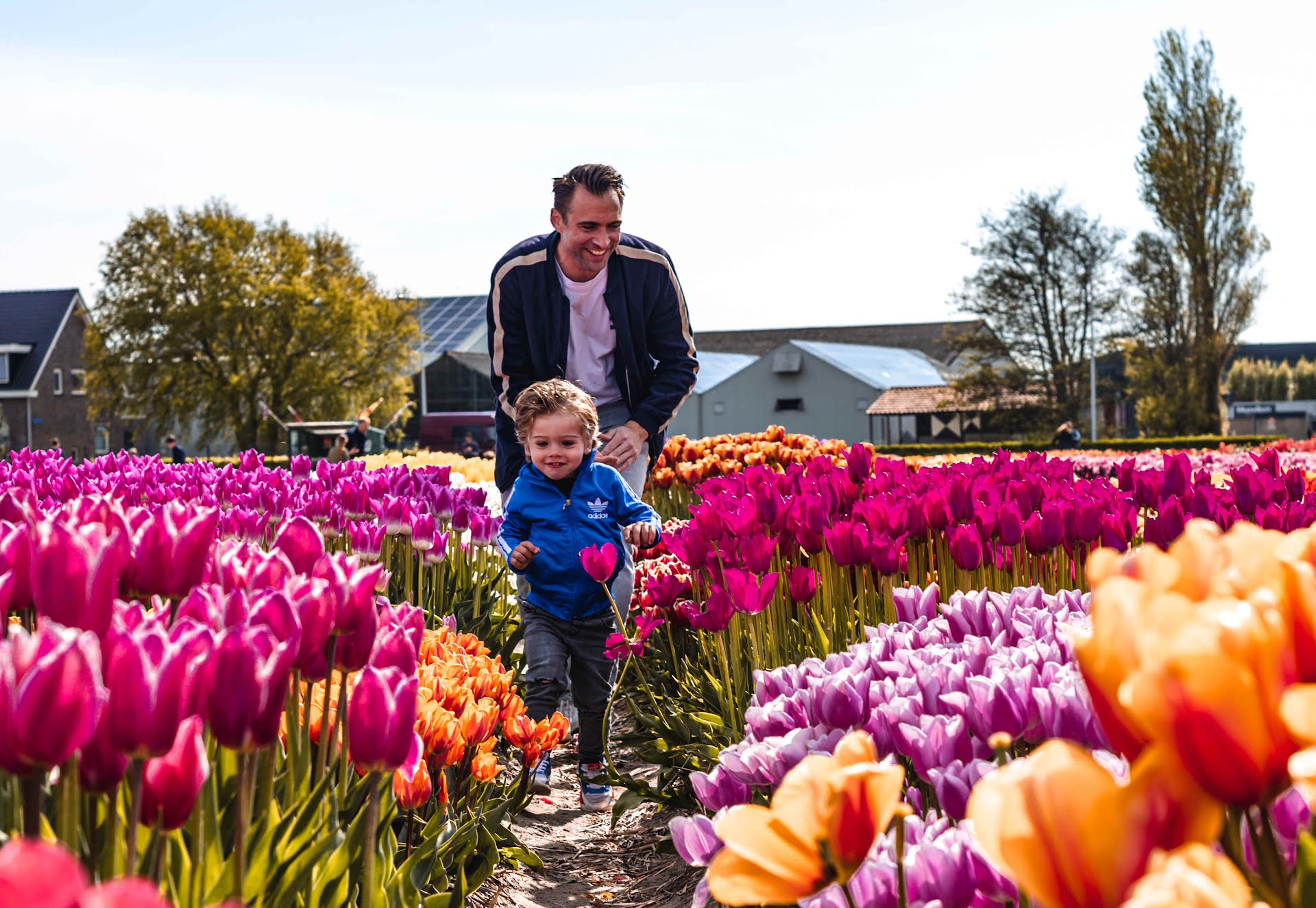 Tulip Experience Amsterdam biedt leerzaam alternatief voor foto’s in de velden