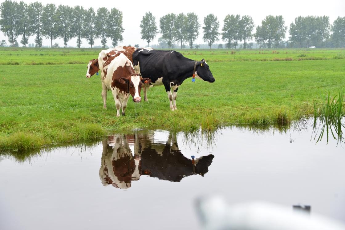 Aanpak piekbelasting van start voor Utrechtse agrariërs