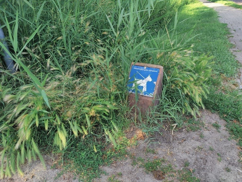 Jaarlijks duizenden honden slachtoffer van grasaren